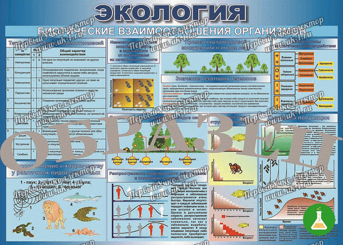 Таблица биотические взаимоотношения организмов 70 100 винил