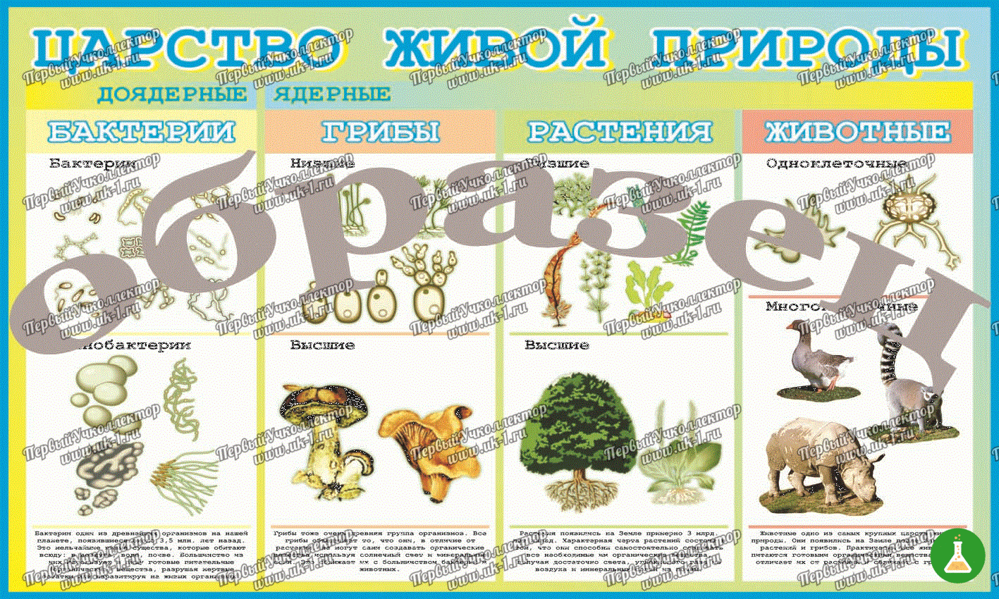 Таблица царство живой природы 1000 1400 винил