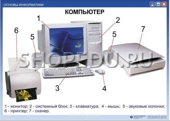 Таблицы основы информатики (12 таблиц)