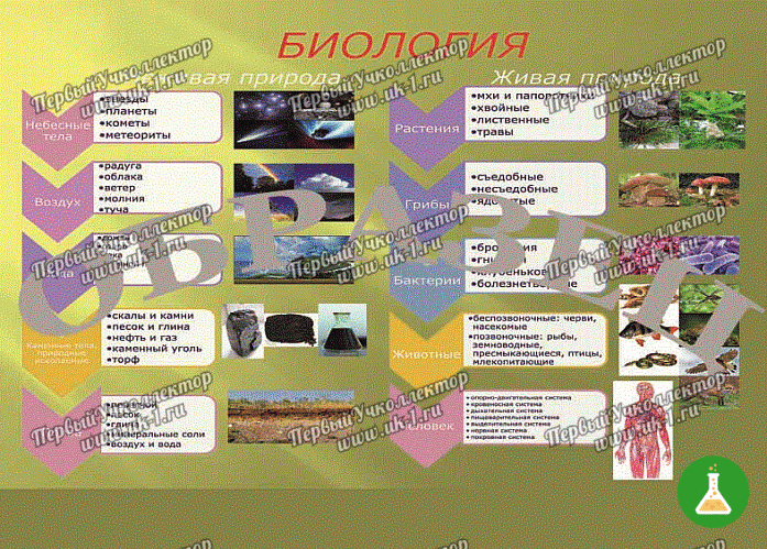 Таблица биология живая и неживая природа 1000 1400 винил
