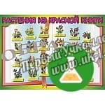 Таблица растения красной книги 1000 1400 винил
