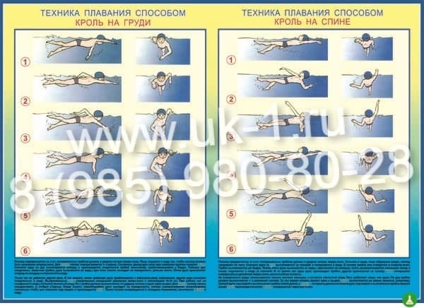 Таблица Техника плавания. Кроль 1000х1400 винил