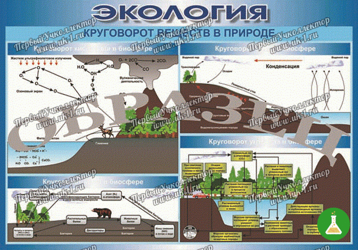 Таблица круговорот веществ в природе 70 100 винил