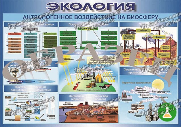 Таблица антропогенное воздействие на биосферу 70 100 винил