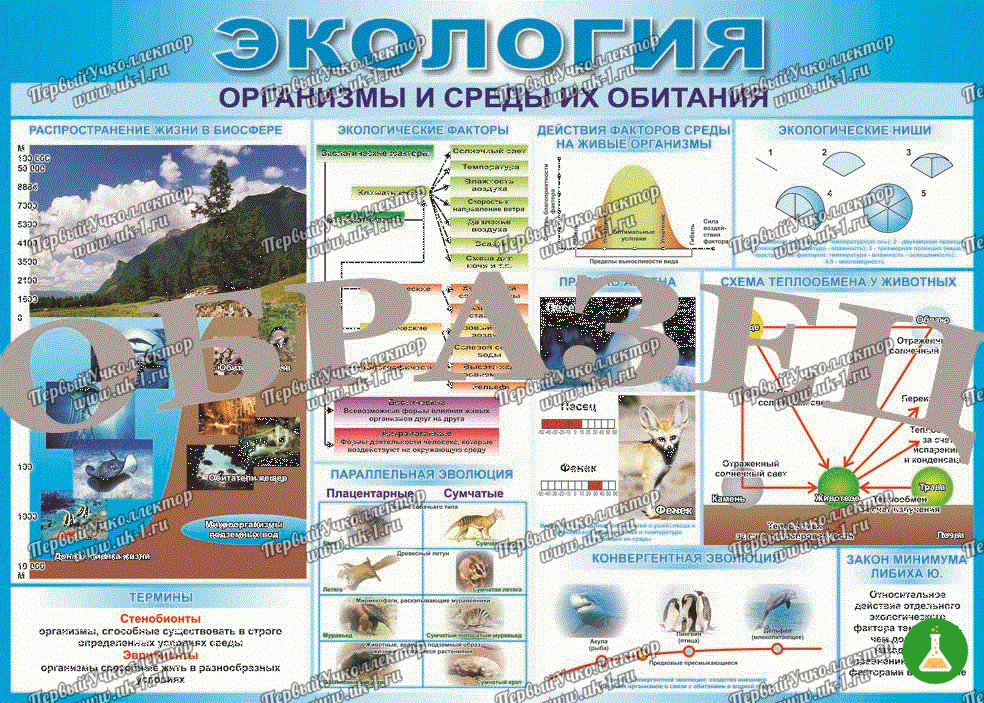 Таблица организмы и среды их обидания 70 100 винил
