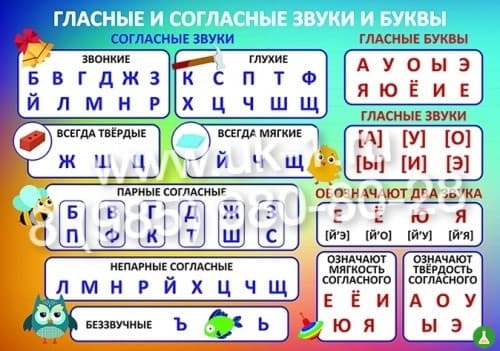 Таблица Гласные и согласные звуки и буквы 1000х1400 винил